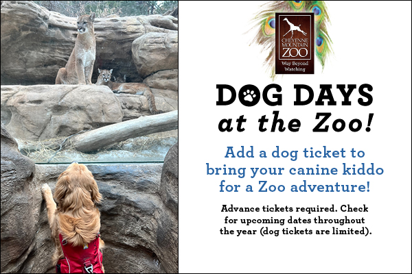 Dog Days at the Zoo, June 12 & 24, July 16 & 31