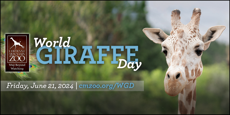 World Giraffe Day